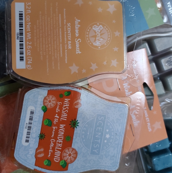 Large scentsy lot - Picture 4 of 8